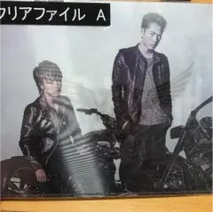 HiGH&LOW クリアファイル 雨宮兄弟 山王連合会