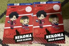ハイキュー 爽 クリアファイル 音駒 黒尾鉄朗 孤爪研磨　2枚セット