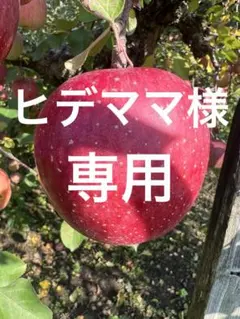 ヒデママ様　専用