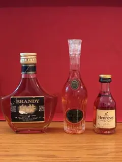 ミニボトル CAMUS XO & 白井 & Hennessy V.S.O.P