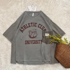 新品 カレッジTシャツ ブルドッグ ピグメント加工 モクグレー freeのサムネイル