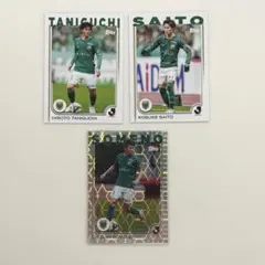 2025 Topps Jリーグ 東京ヴェルディ シルバーパラ 染野