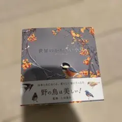新品　世界のかわいい小鳥