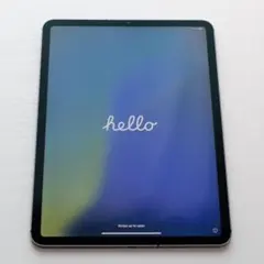 iPad Pro 11インチ 第1世代 256GB セルラーモデル