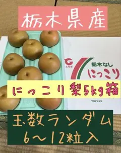 ラヴォ様専用　にっこり梨 5kg×2枚