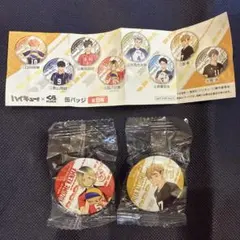 ハイキュー!!缶バッジセット