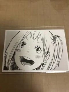 2025年最新】ハイキュー思い出スナップフォトカードの人気