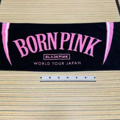 Item thumbnail for item 8b944301-c7ec-4465-bb17-3cb3401203e0