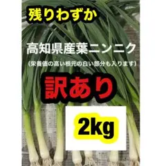 高知県産葉にんにく　葉ニンニク　野菜　産地直送訳あり品2kgmdjのサムネイル
