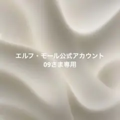 エルフ・モール公式アカウント09様　 専用ページ 2026年最新】エルフ・モール公式アカウントの人気アイテム - メルカリ