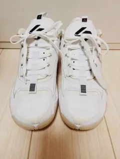 Item thumbnail for item 1c2b843c-e46f-4100-86fc-2940b4bdaece