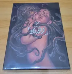 杉本博司：歴史の歴史】☆シュリンク包装未開封・新品・美本 - メルカリ