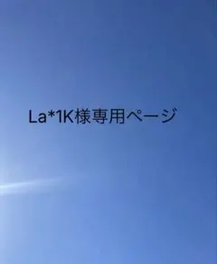 La*1K様 リクエスト 3点 まとめ商品