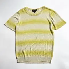 美品　APC ラメ入り　ボーダー　半袖ニット　Lのサムネイル