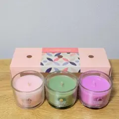 「韓国限定品」ヤンキーキャンドル ミニ 特価 3個セット3種