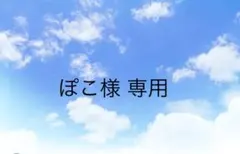 CENTRAL SPORTS 水泳帽 Lサイズ 水色