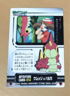 ポケモン　ハルカ　トレーナー　カード 2025年最新】ハルカ ポケカの人気アイテム - メルカリ