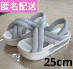 NIKE エアマックス アイラ グレー 25cm