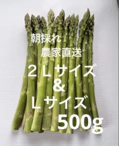 朝採れ　農家直送　アスパラ　アスパラガス　500gのサムネイル