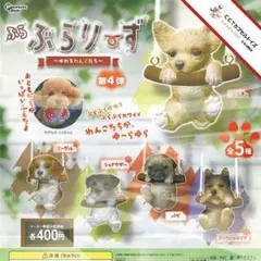 コンプ★ ぶらぶらりーず 第4弾～ゆれるわんこたち～【全５種】