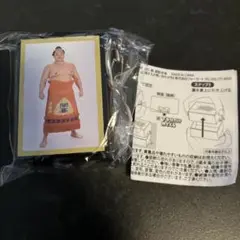 【新品未開封】大相撲ガチャ 明け荷 キーホルダー 琴勝峰 説明書付