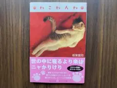 ねこねんね 板東寛司 ヒーリング写真集