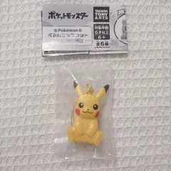 ピカチュウ ポケモン ぺたんこマスコット カントーSPECIAL キーホルダーのサムネイル
