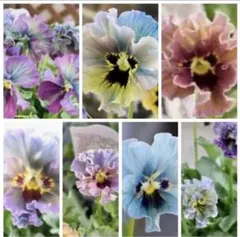 angelland.alice様 リクエスト 3点 まとめ商品