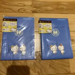 ハローキティ　当時物　テワタシブクロ　マル秘　2007年製