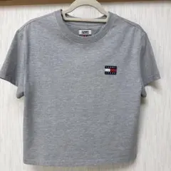 TOMMY JEANS 半袖Tシャツ グレー Sサイズのサムネイル