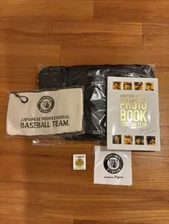 Item thumbnail for item 9eab965f-affc-452c-ba41-eb5a51ee8c25