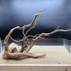 MDW-7732 自立ブランチウッド 流木 枝流木 アクアリウム - メルカリ