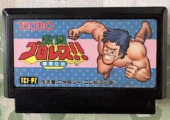 TECMO 激闘プロレス!! TCF-PZ