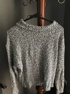 american apparel パーカー