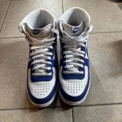 27.5cm Nike Terminator High Game Royal