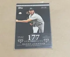 2007 Topps M&M R.Johnson #51 29/29