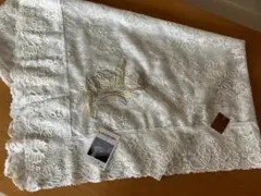 Item thumbnail for item c3eea998-fcb7-4a72-8468-3902fcc5a15f