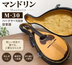マンドリン 本体 ハードケース付き 弦楽器　M-30