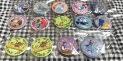 ディズニー刺繍缶バッジ　13種類(白雪姫、アラジン以外)14個セット