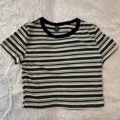 新品未使用 グリーン ニット ストライプ 半袖 Tシャツ カットソー レディースのサムネイル