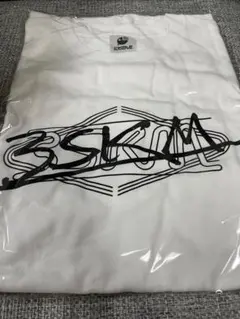 Item thumbnail for item 65919bb2-f92a-4599-818a-77f3f033a969