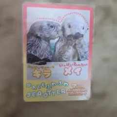鳥羽水族館 コレクションカード×2 - メルカリ