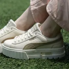 メイズ