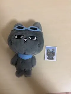 ウォヌ ポッドンイ ぬいぐるみ MINITEEN PLUSHTOY ピンズ付き - メルカリ