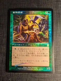 MTG　動物学者/Zoologist 日本語版FOIL　継ぎ目なし　ODY