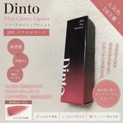 Dinto ブラーグロイリップティント 283 パクスロマーナのサムネイル