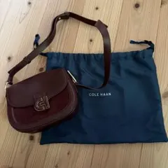 COLE HAAN クラシックミニショルダーバッグ　(レザー✖️スウェード）