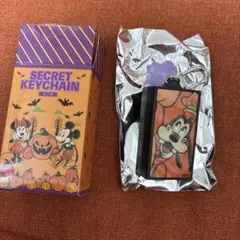 ディズニー SECRET KEYCHAIN／グーフィー