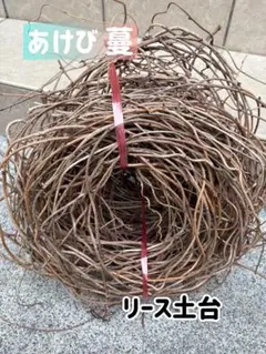 2025年最新】アケビ 蔓の人気アイテム - メルカリ