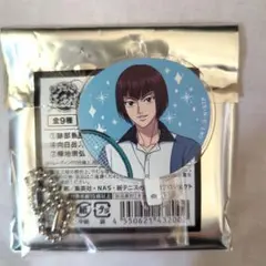 【匿名配送】新テニスの王子様 アクキー 向日岳人